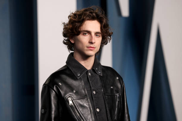 Timothee Chalamet Biography: Age, Networth, Height, Girlfriend